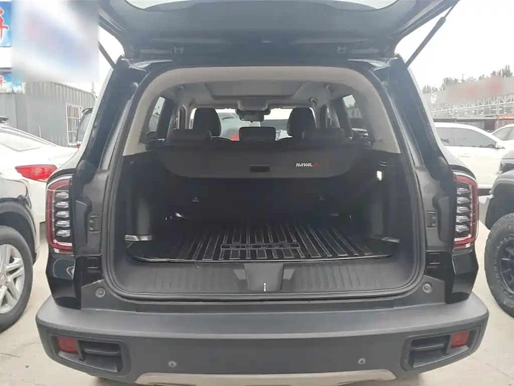 Haval Big Dog 2022 1.5T DCT FWD Labrador Edition фото 19