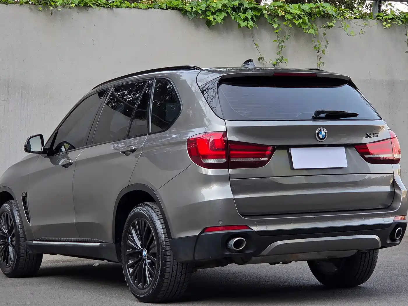 BMW X5 (Import) 2017 xDrive28i фото 6