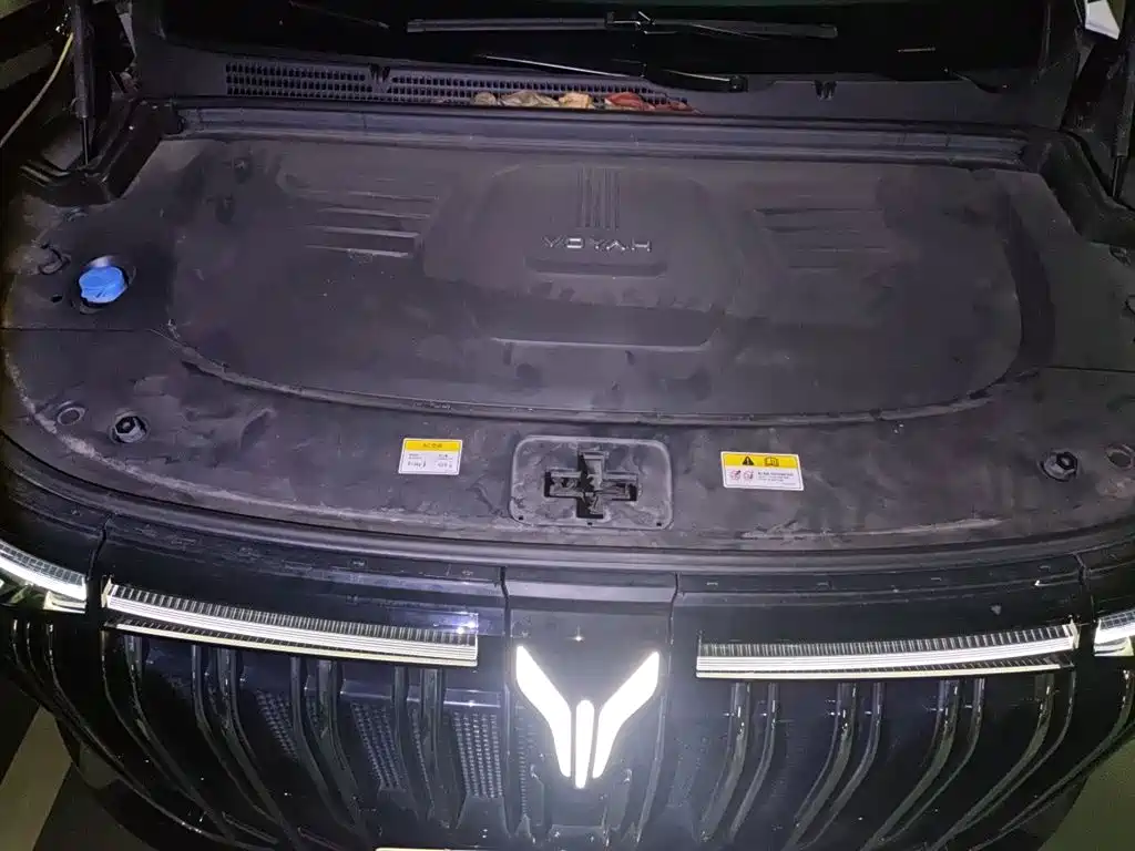 Voyah Auto Voyah Dreamer 2024 PHEV Extended Range Flagship Edition фото 11