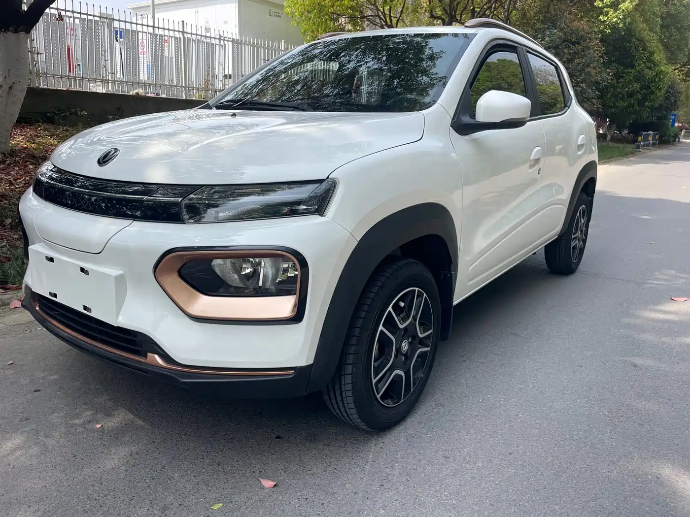 Dongfeng Yipai Nano BOX 2022 Champion Edition Breeze 201KM Standard