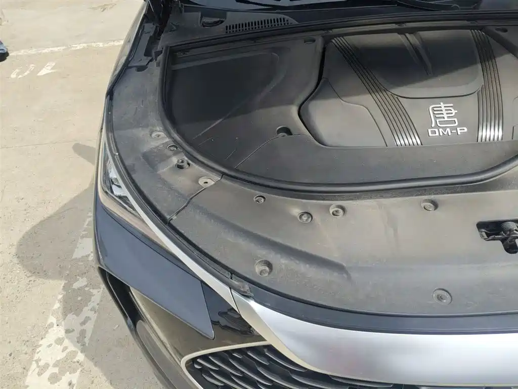 BYD Tang New Energy 2022 DM-p 215KM AWD Flagship фото 23