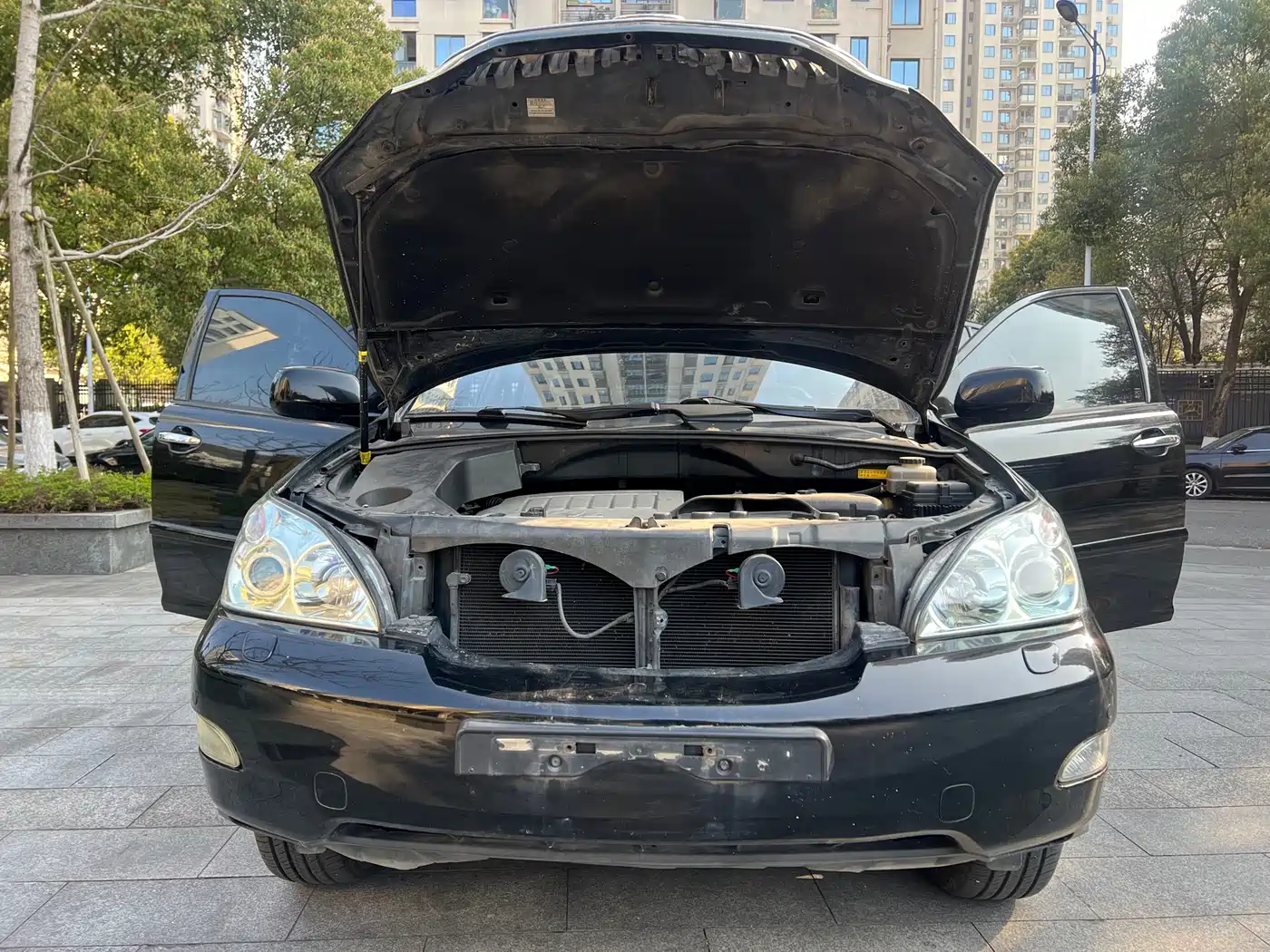 Lexus RX Classic 2009 Model 350 Luxury Edition фото 15