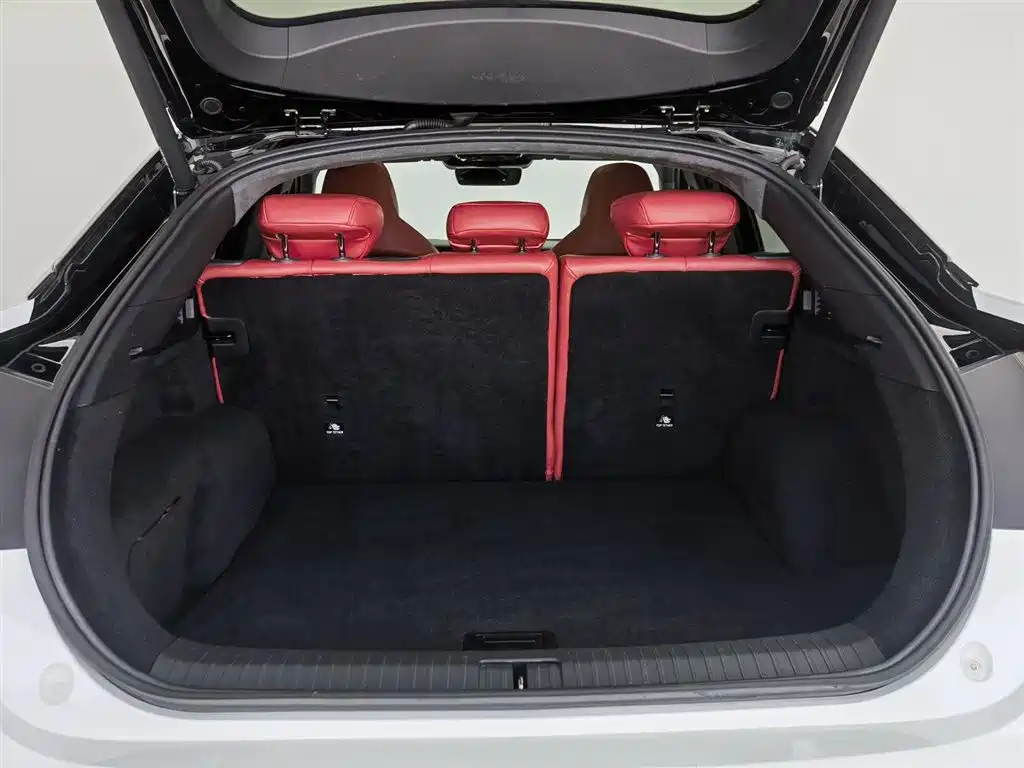 ARCFOX EXTREME FOX POLAR FOX ALPHA S