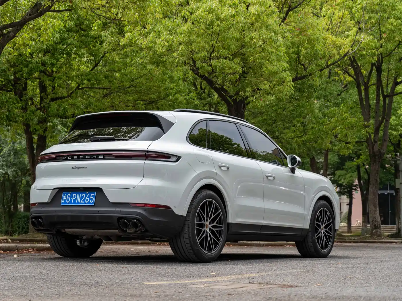 Porsche Cayenne 2025 Cayenne 3.0T Dream Chaser Edition фото 6