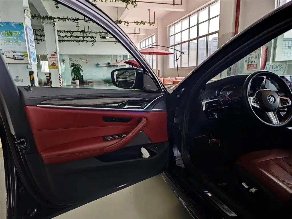 BMW 5 Series 2020 530Li Exclusive M Sport Package фото 9