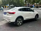 Фото 3 - Haval F7x