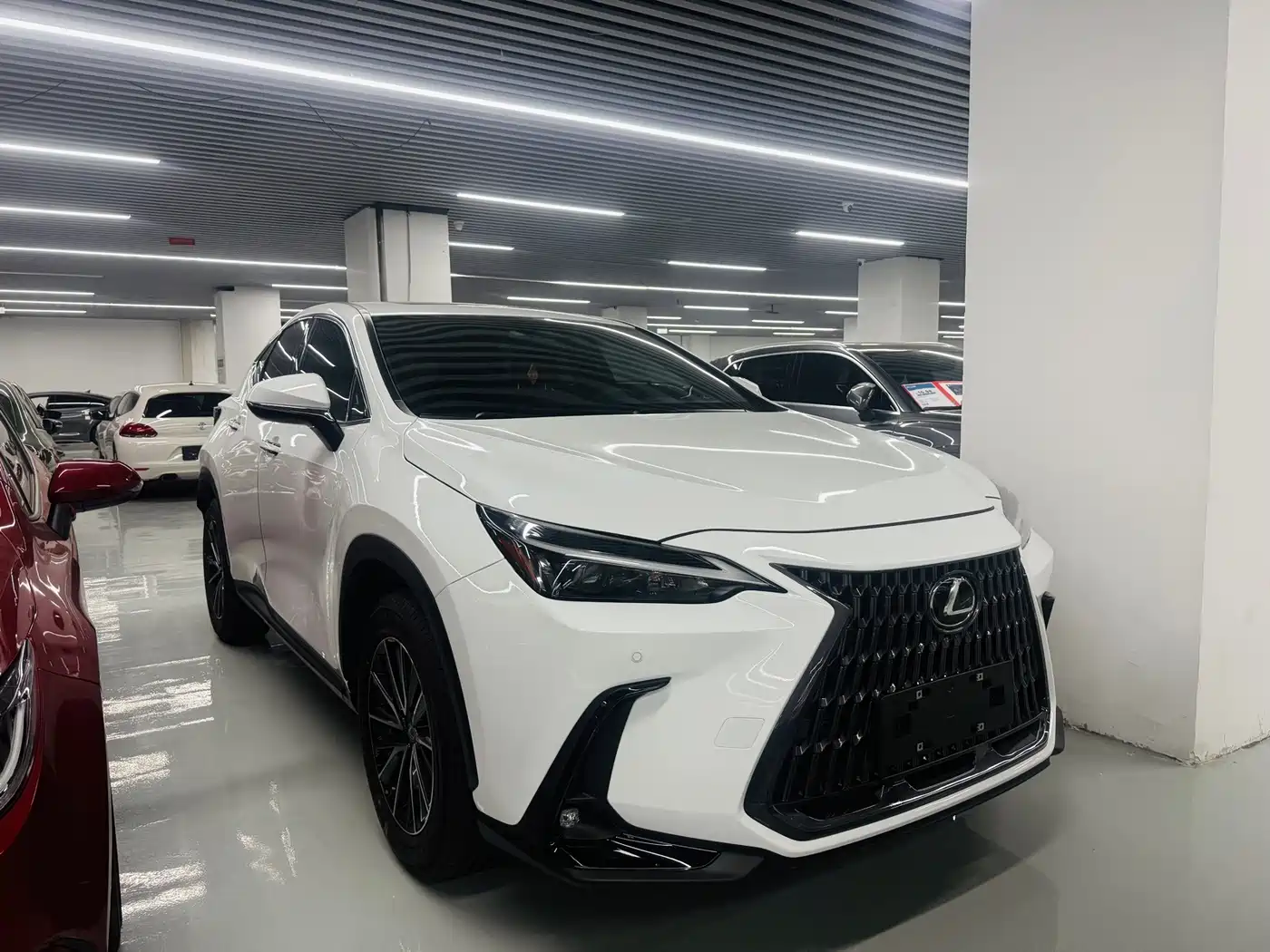 Lexus NX 2026 2025 Model 200 Base Version