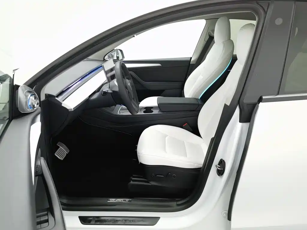 Tesla Model Y 2021 2021 Performance High-Performance AWD