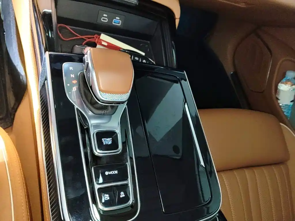 Hongqi H9 2025 2025 2.0T 2WD Qi Chang Private Style Edition 5-seater
