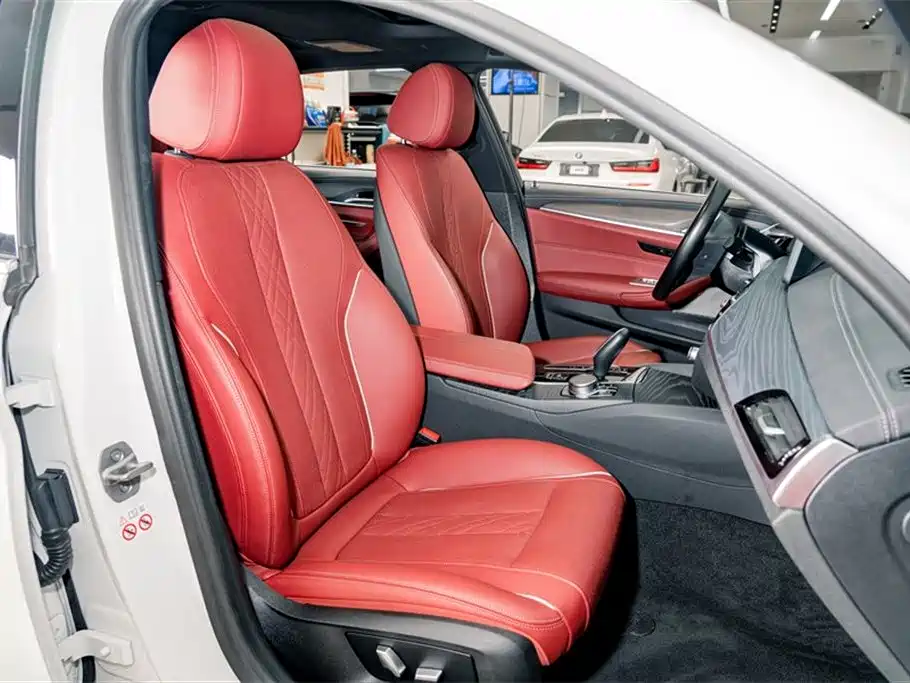 BMW 5 SERIES NEW ENERGY