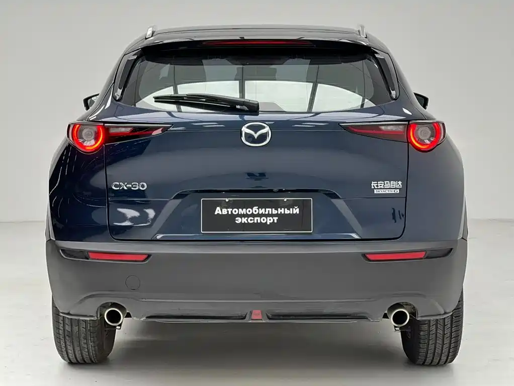 Mazda CX-30 2022 2021 2.0L Auto Quality Delight Type