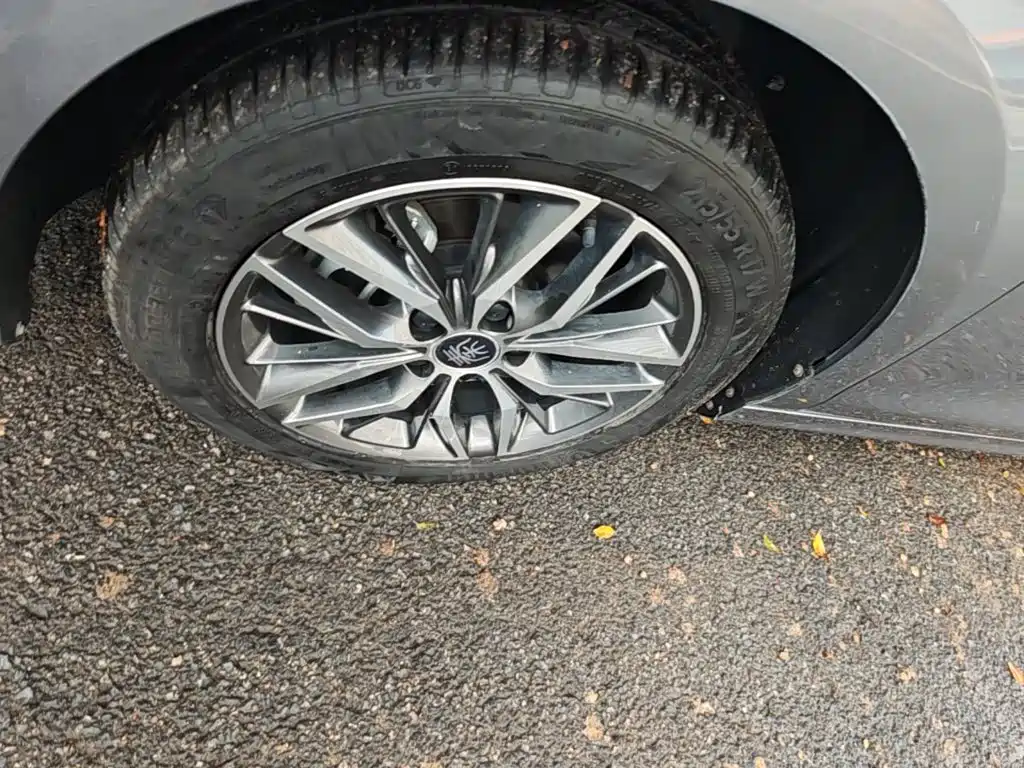 BYD Qin PLUS 2021 2021 DM-i 120KM Flagship