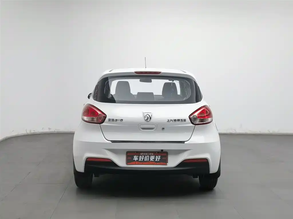 BAOJUN 310