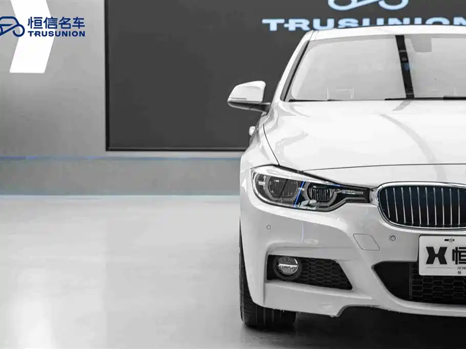 BMW 3 Series 2019 320Li M Sport Package фото 8