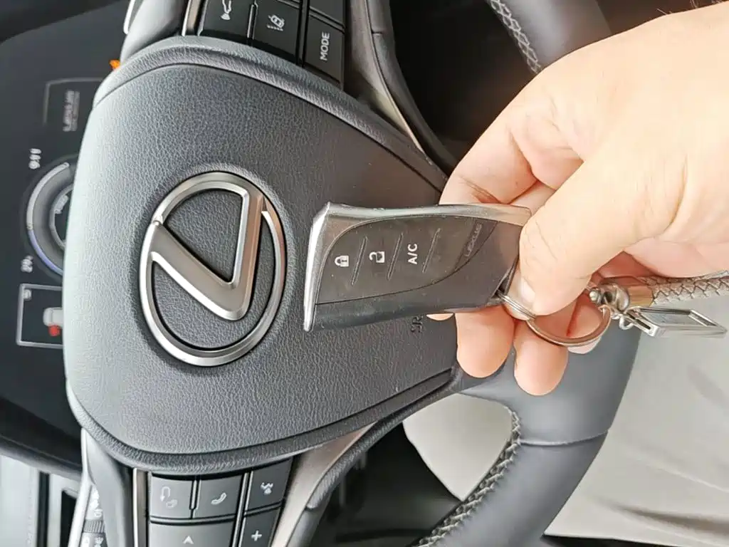 Lexus UX Electric 2021 2020 300e Pure Yue Edition