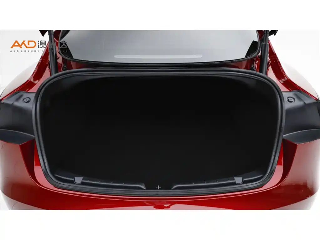 Tesla Model 3 2026 2025 Model Rear-Wheel Drive Edition