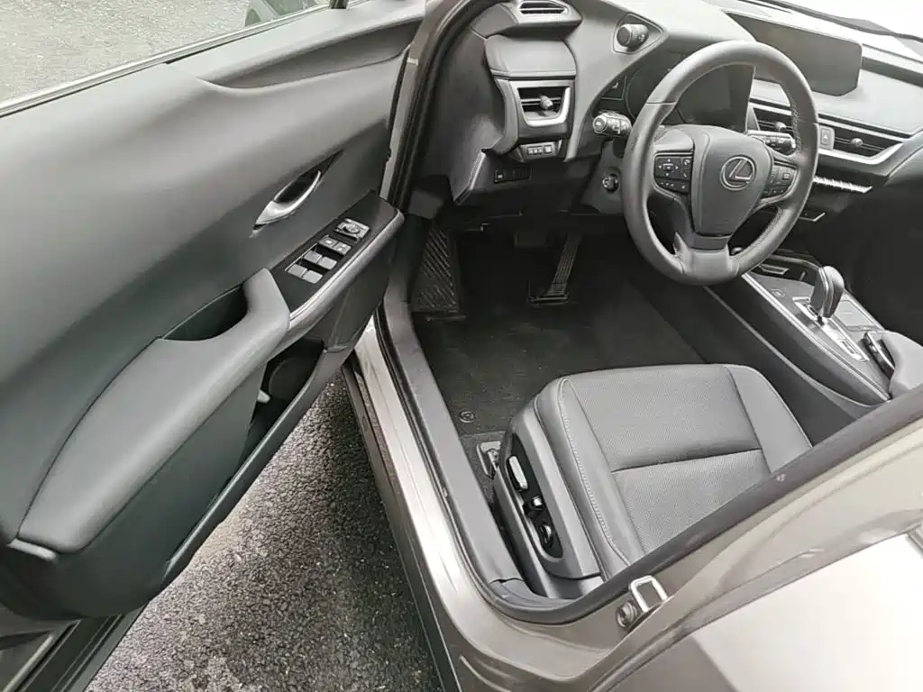 Photo 21 - Lexus UX Electric