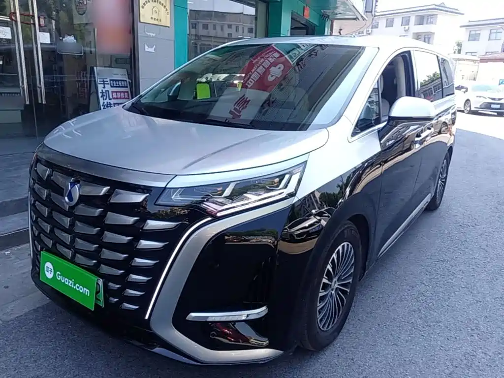 Denza D9 2024 DM-i 980 AWD Flagship