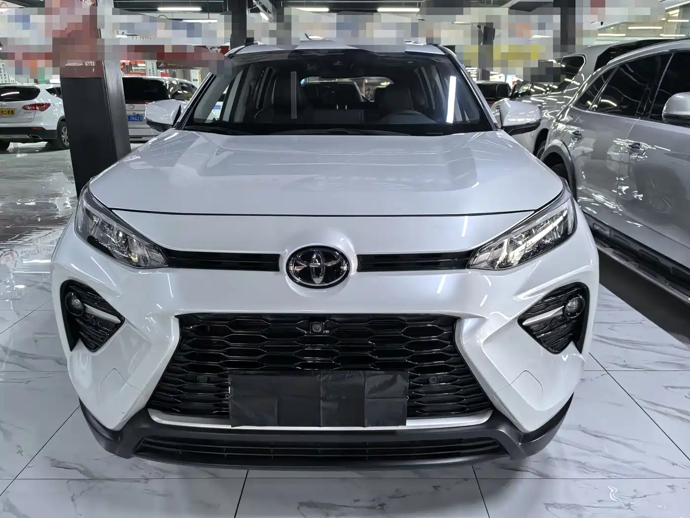 TOYOTA WILANDA