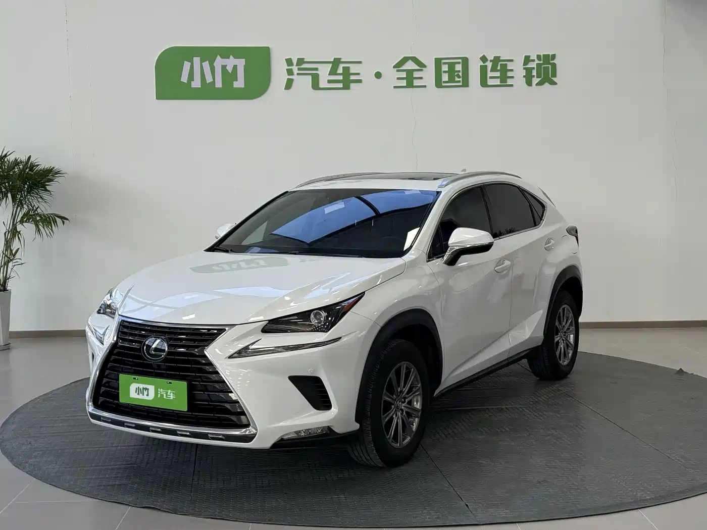LEXUS NX