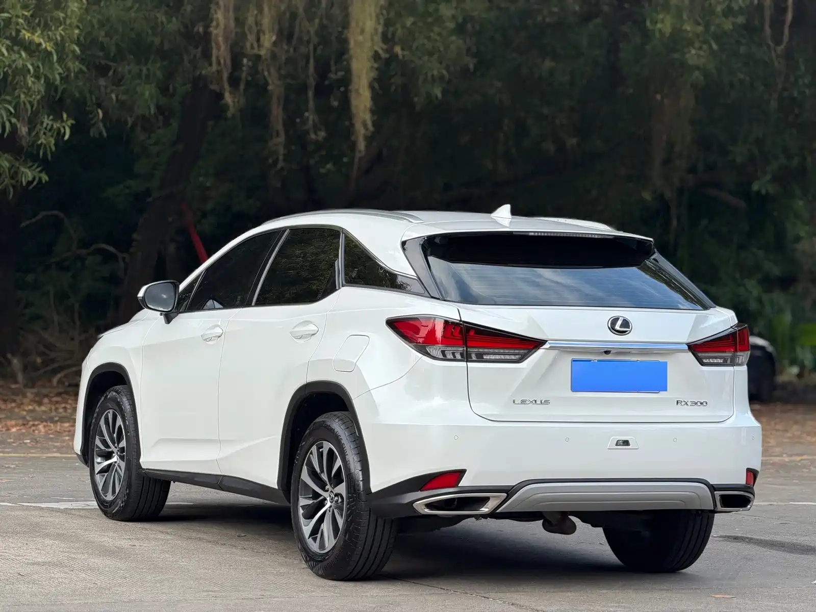 Фото 15 - Lexus RX