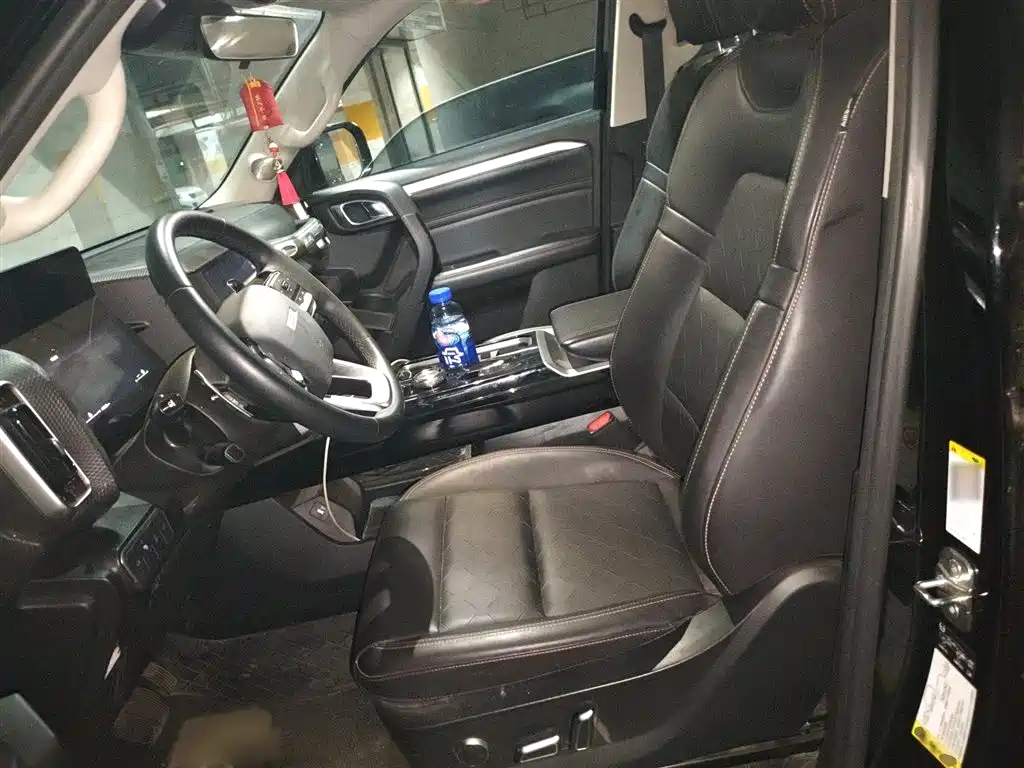 Haval Big Dog 2022 1.5T DCT FWD Border Collie Edition фото 8