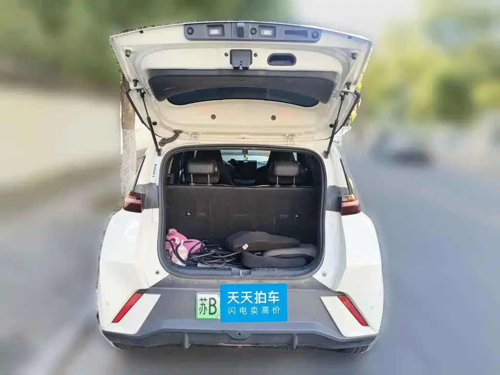 Фото 5 - BYD Seagull