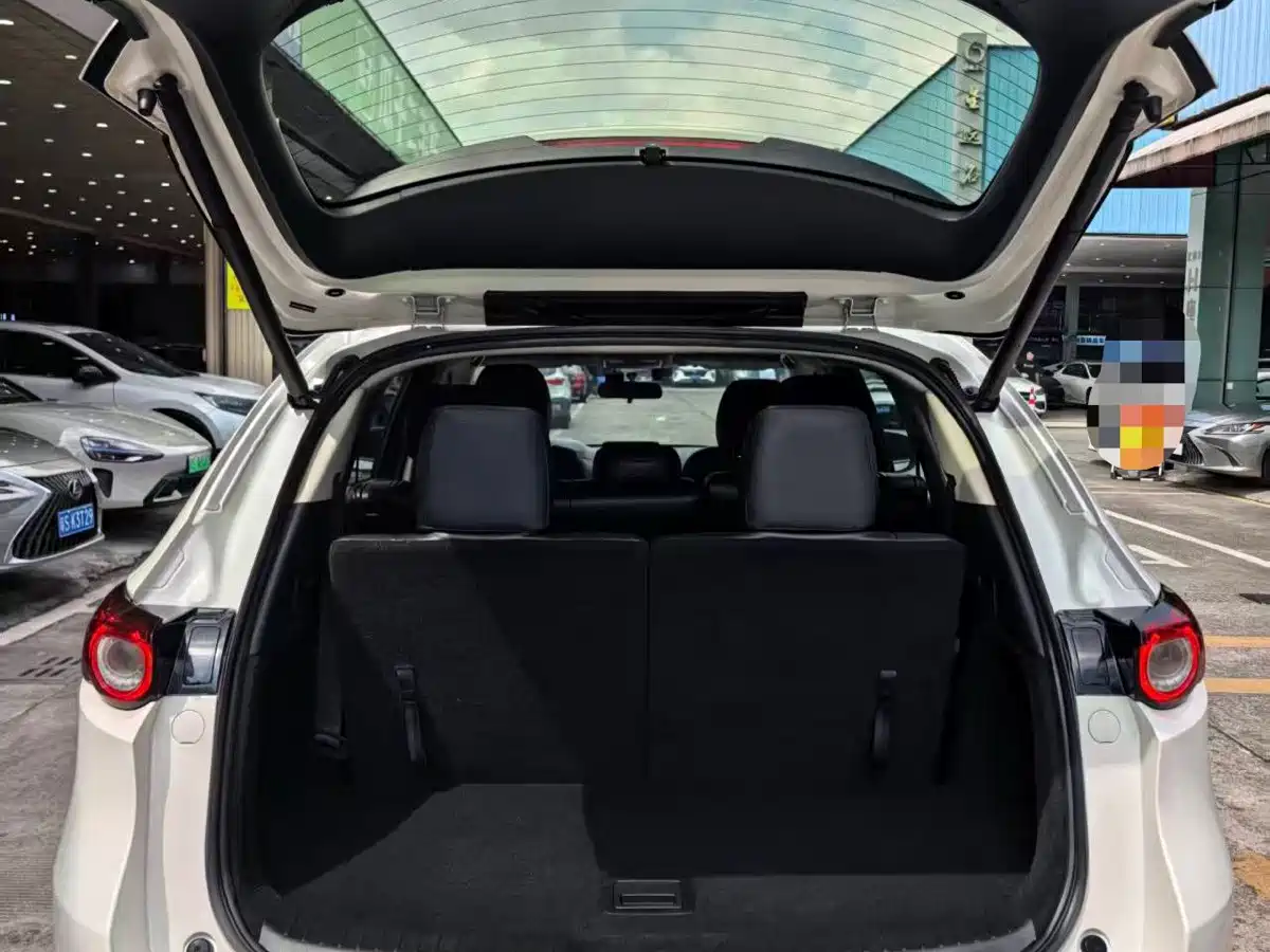 Mazda CX-8 2021 2019 2.5L 2WD Luxury