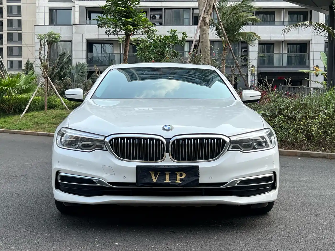 BMW 5 Series 2020 530Li Leading M Sport Package фото 11