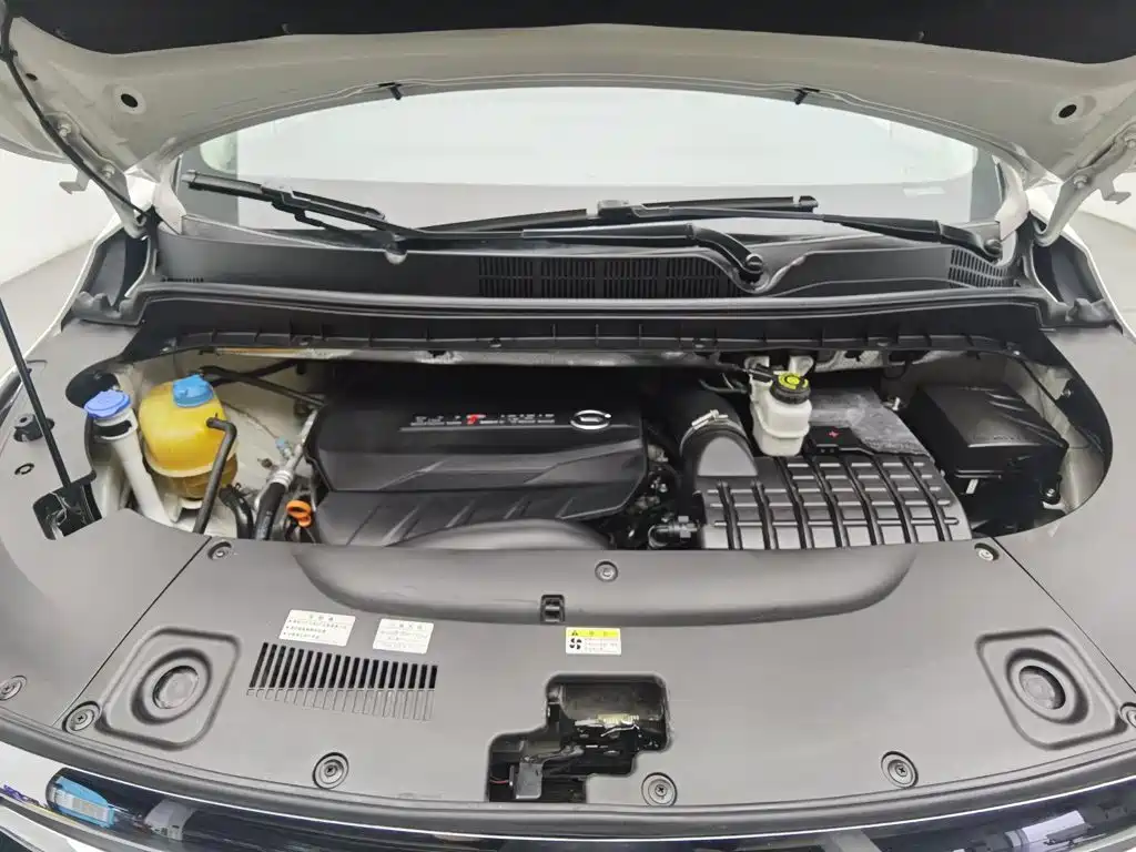 صورة 6 - GAC Trumpchi M8