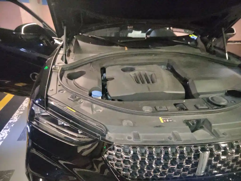 WEY VV7 2021 2020 Model 2.0T Flagship