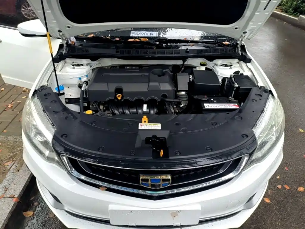 Фото 20 - Geely Vision