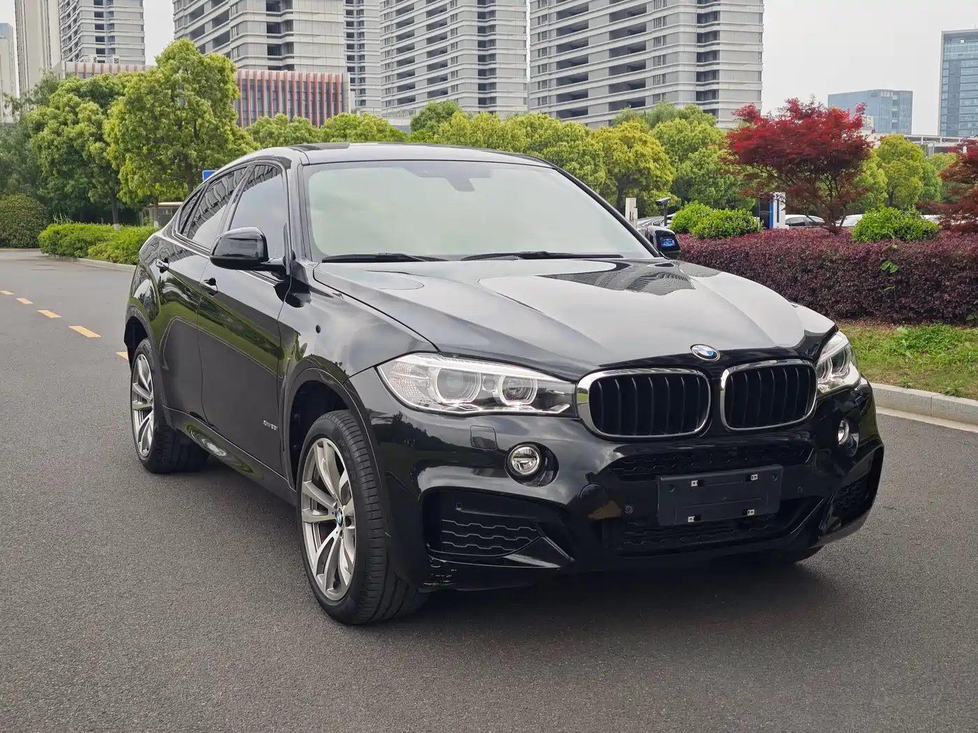 BMW X6 2019 xDrive28i M Sport Package фото 3