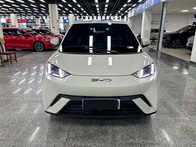 BYD Seagull