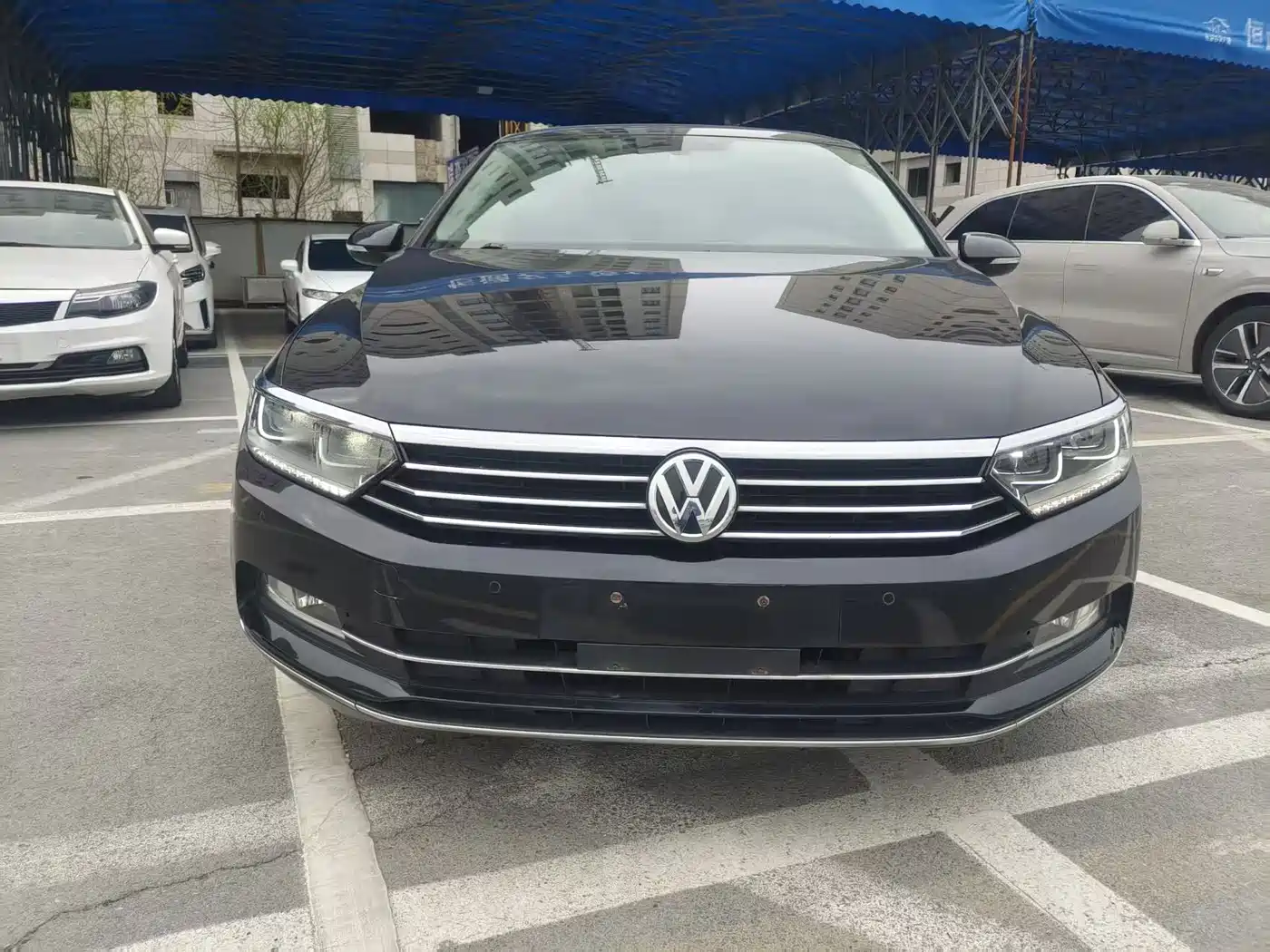 Volkswagen Magotan 2019 330TSI DSG Luxury Class China VI фото 2