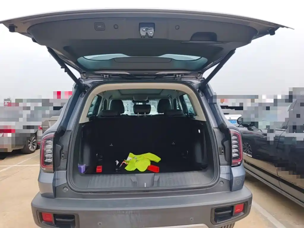 Haval Big Dog 2025 2024 1.5T DCT Border Collie Edition