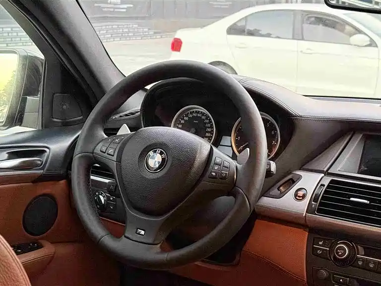 BMW X6 M 2010 X6 M фото 16