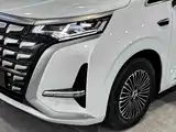 Фото 8 - Denza D9