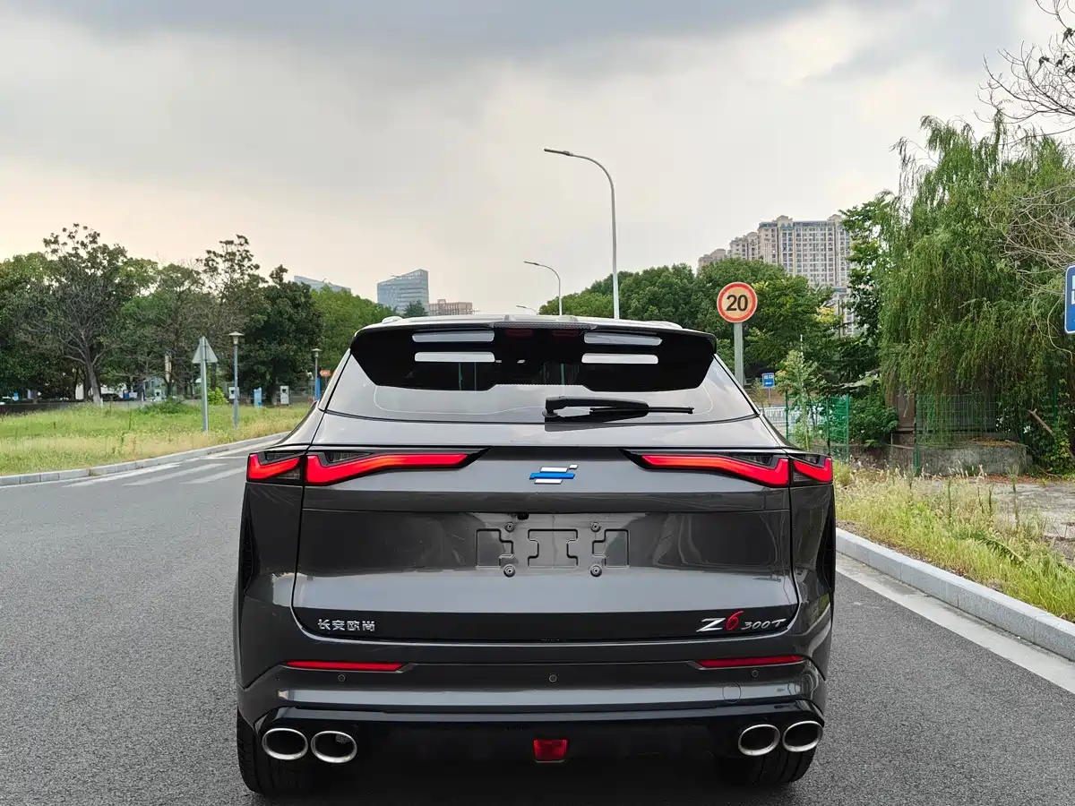 Фото 4 - Changan Oshan Z6