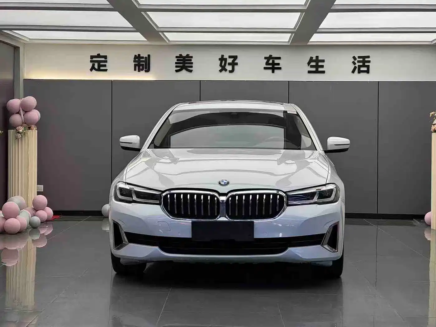 BMW 5 Series 2021 530Li Leading Luxury Package фото 2
