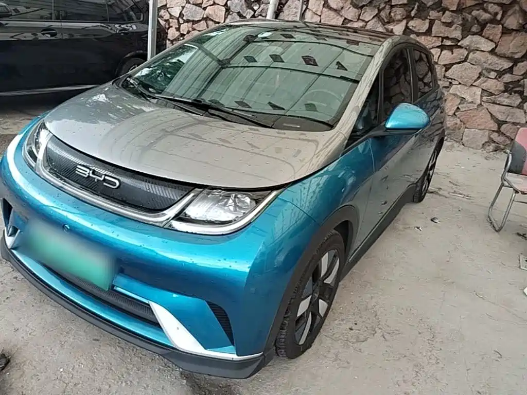 BYD Dolphin 2021