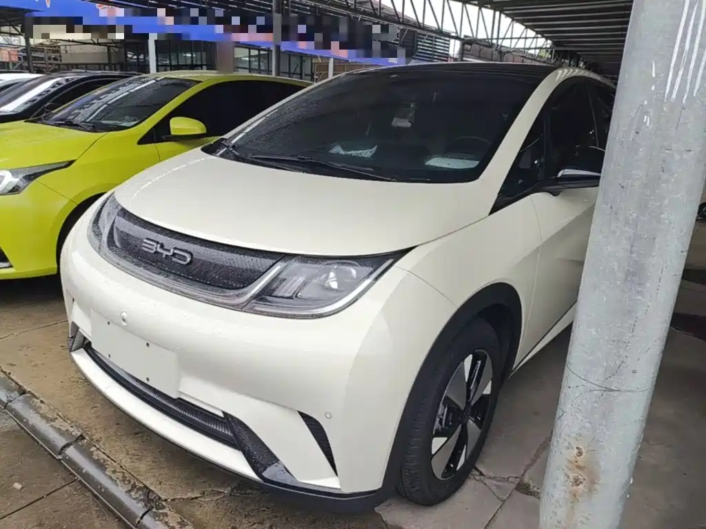 BYD Dolphin 2023 — пригон из Китая