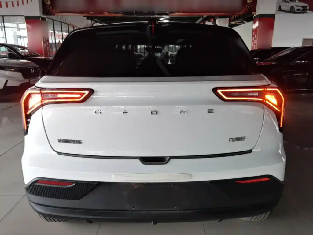 Geely Geometry E Firefly 2024 2024 Model 301km Light Flow