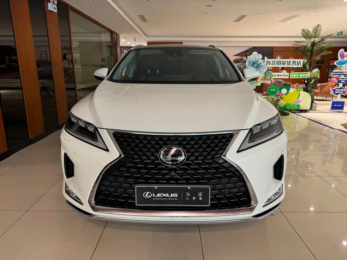 Lexus RX 2020 300 4WD Elegance Edition China VI фото 2