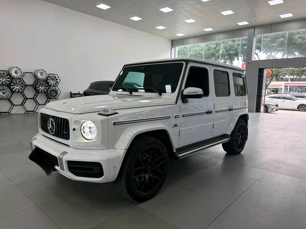 Фото 1 - Mercedes-Benz G-Class