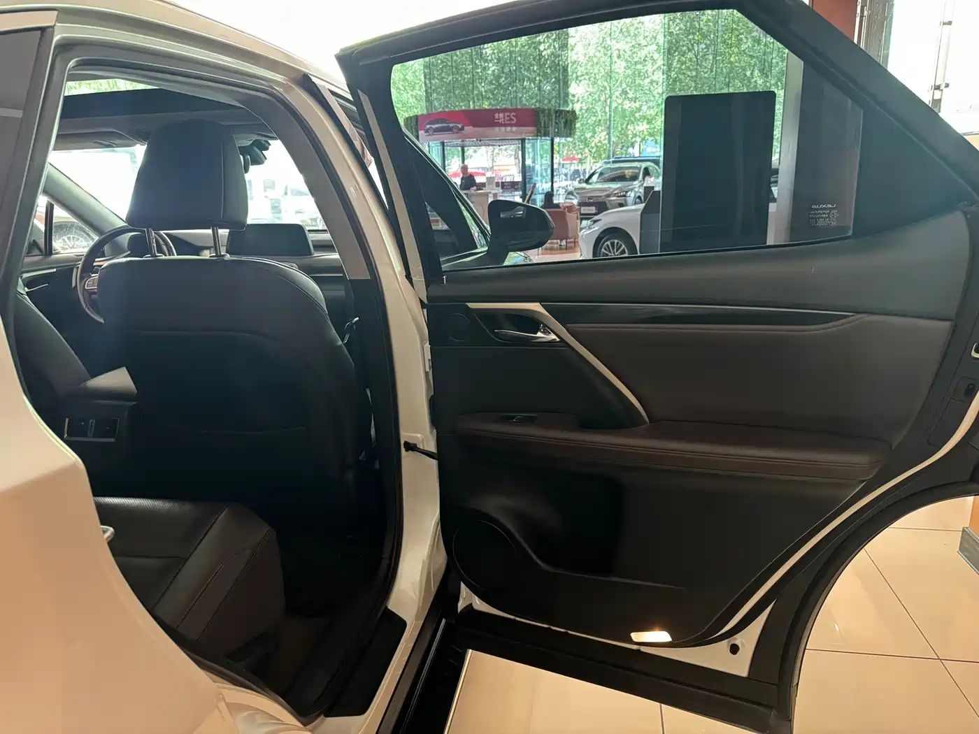 Lexus RX 2020 300 4WD Elegance Edition China VI фото 13