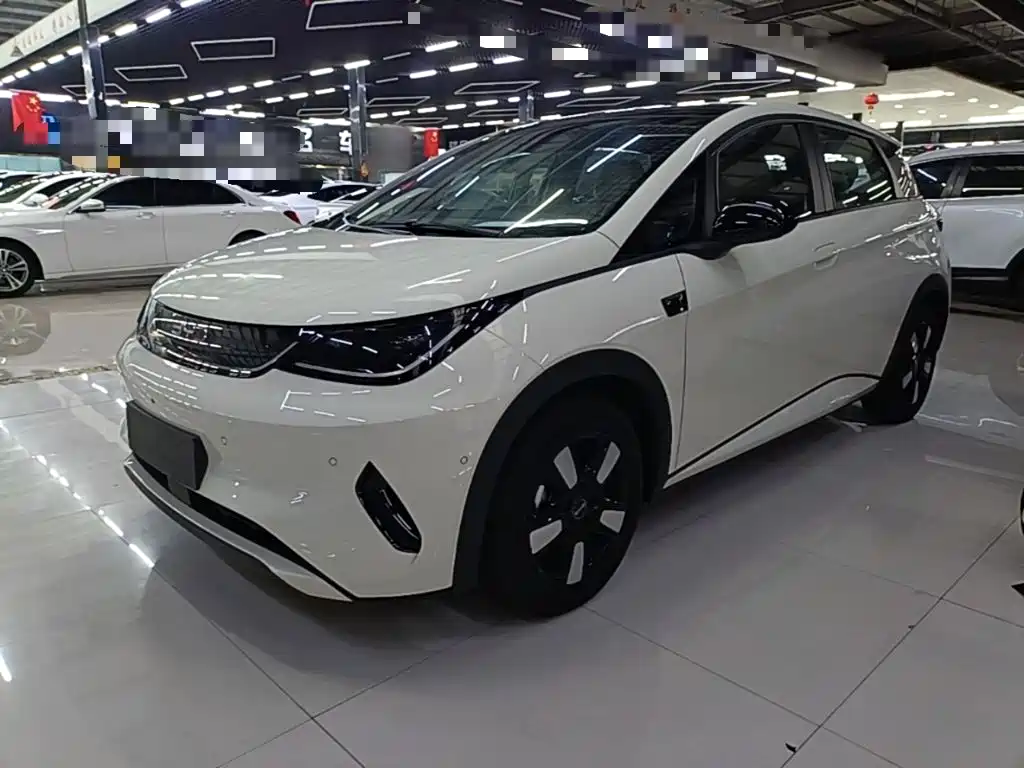 Photo 1 - BYD Dolphin
