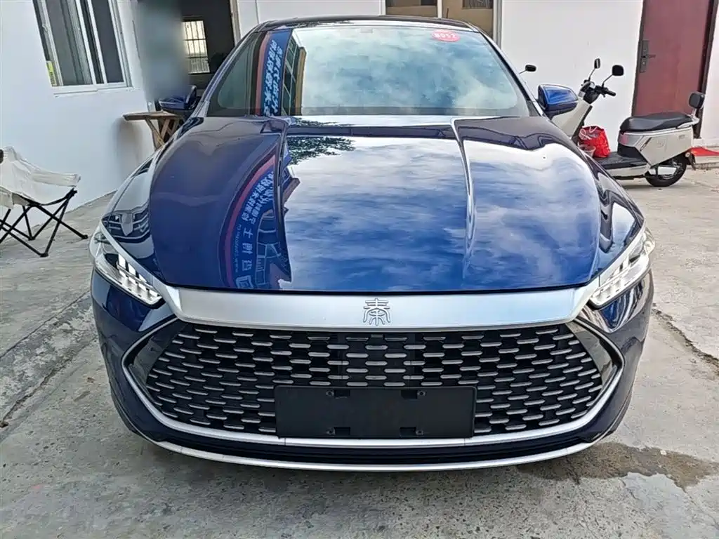 BYD Qin PLUS 2021 DM-i 55KM Flagship фото 3