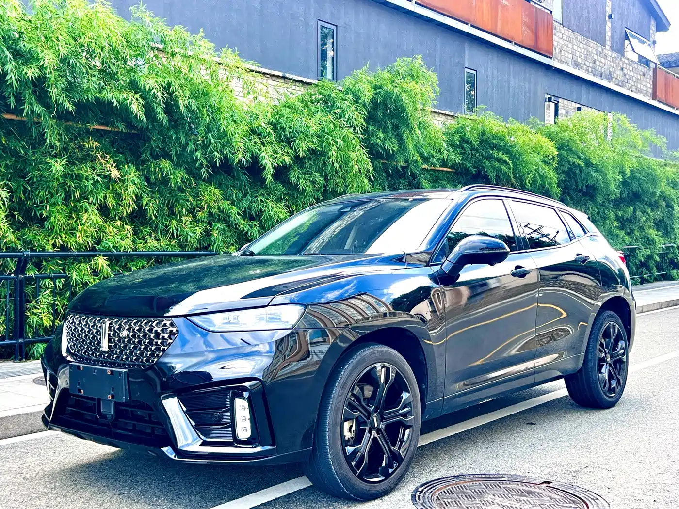 WEY VV7 2020 2020 Model 2.0T Flagship
