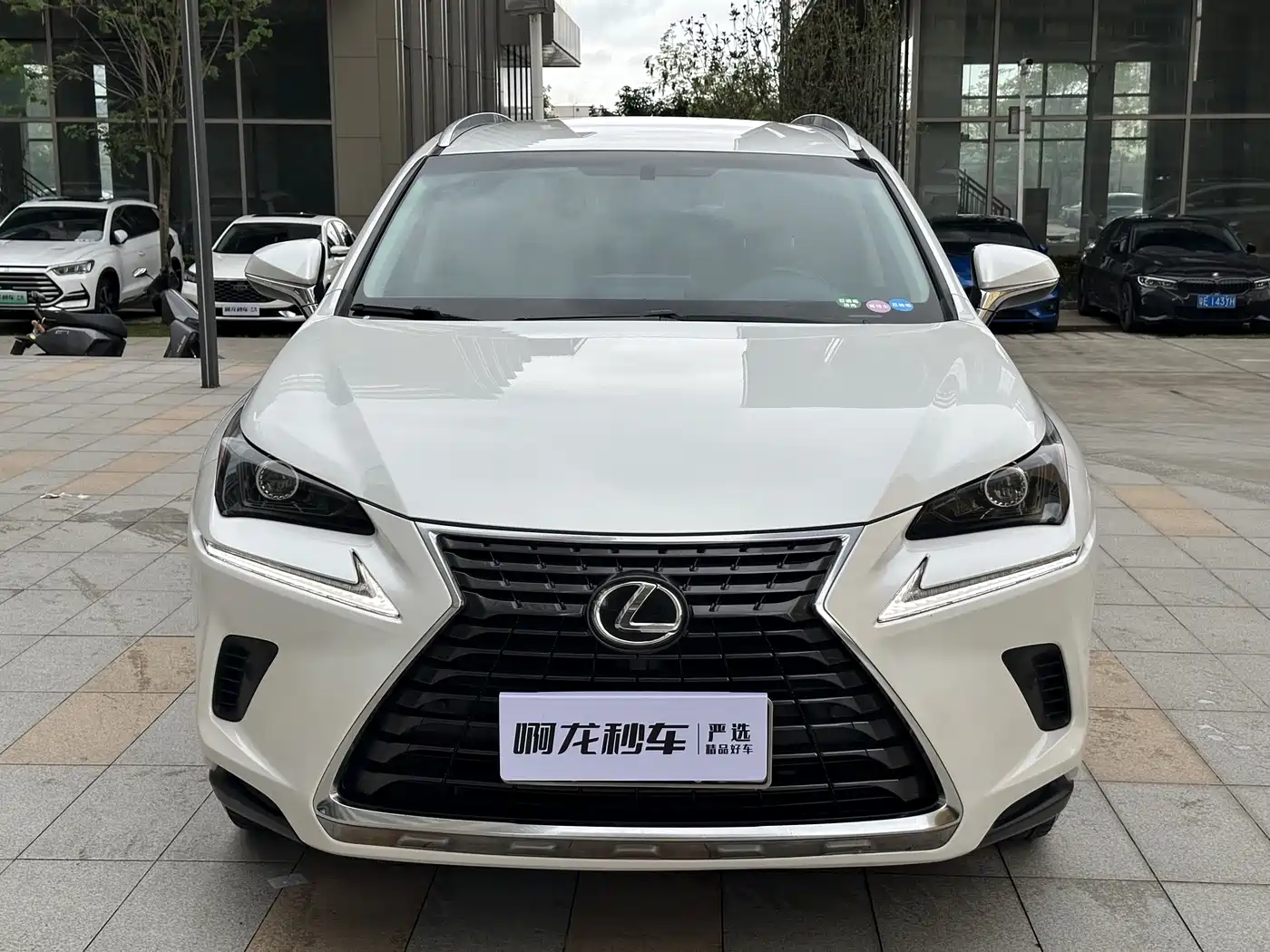 Lexus NX 2017 300 FWD Sharp Edition фото 3